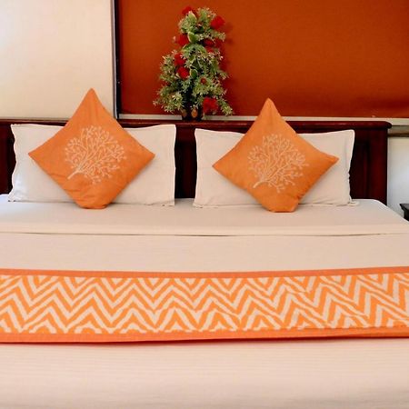 Shree Mohan Home Stay- A Heritage Home Jodhpur  Eksteriør billede